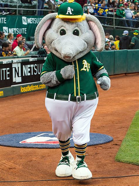 The Most Controversial Baseball Team Mascots in 2023